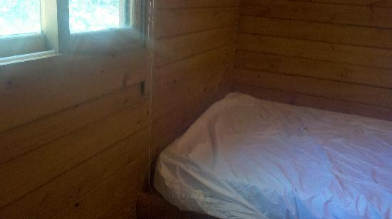 Trap Pond State Park-特拉华州必去景点