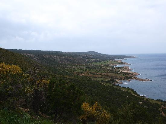 Aphrodite Trail-Latchi必去景点