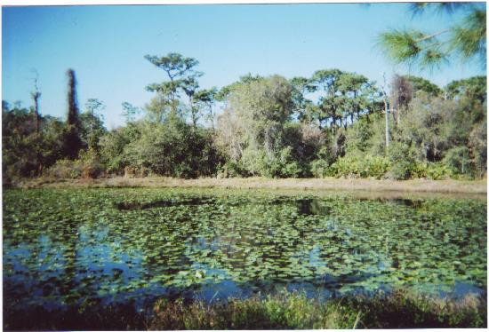 Florida Botanical Gardens景点图片