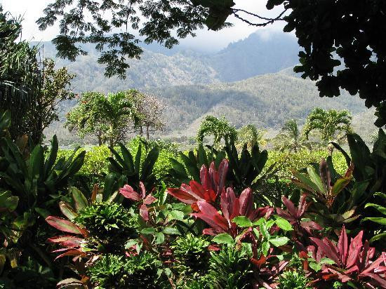 茂宜热带平原-怀露库必去景点