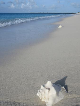 Pelican Beach-Whitby必去景点