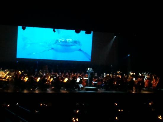 Symphony Orchestra Augusta-奥古斯塔必去景点