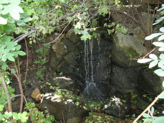 Idaho Botanical Garden-博伊西必去景点