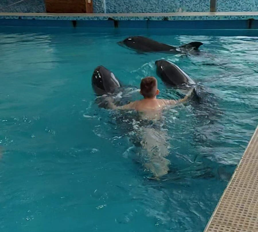Morskaya Zvezda Dolphinarium景点图片
