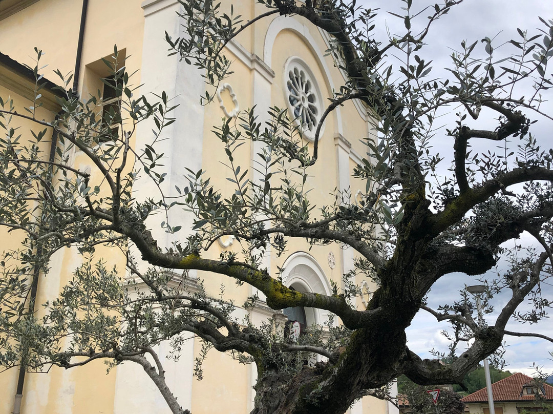 Chiesa di S. Maria in Betlemme景点图片