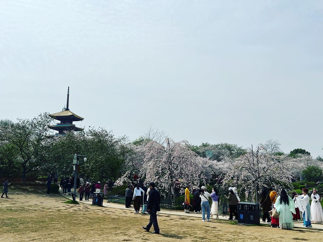 武汉东湖磨山樱园景点图片