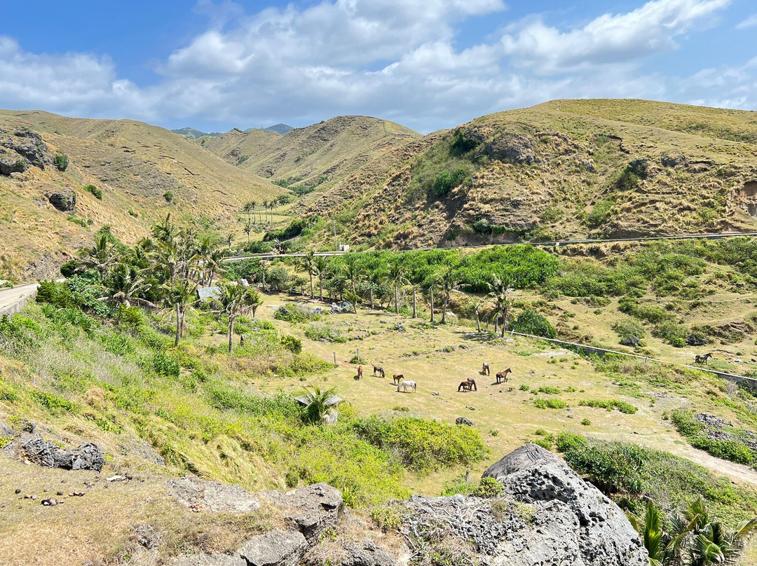 Batanes Seaside Lodge and Restaurant主图