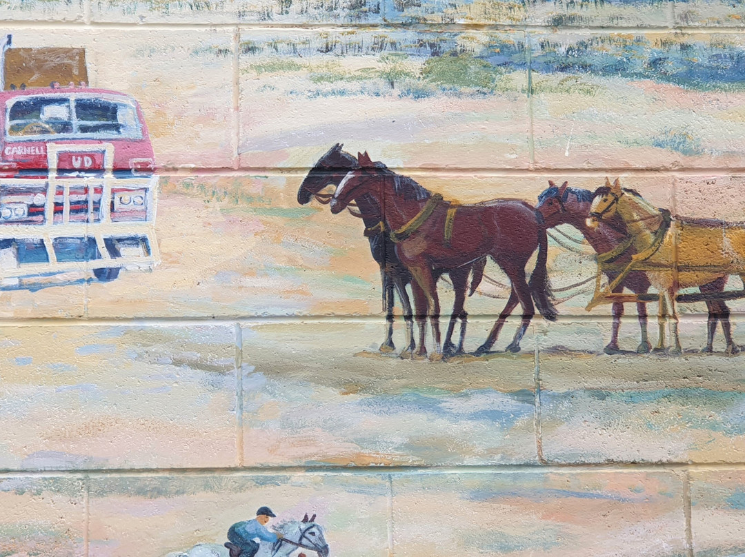 Elliston Community Visitor Information Centre-Elliston必去景点