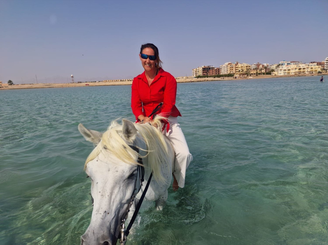 HorseTrips Hurghada-赫尔格达必去景点