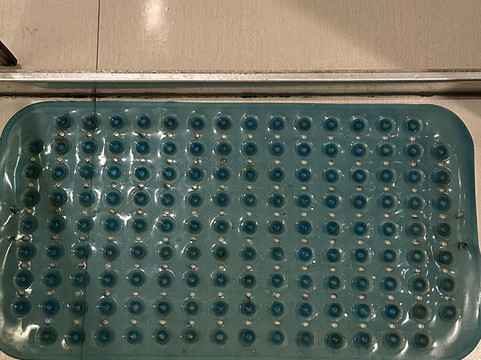 宿务滨海前线酒店 - 北开垦主图