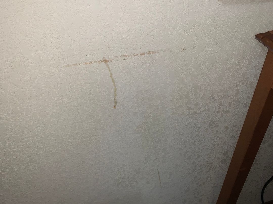 Super 8 by Wyndham Lavonia主图