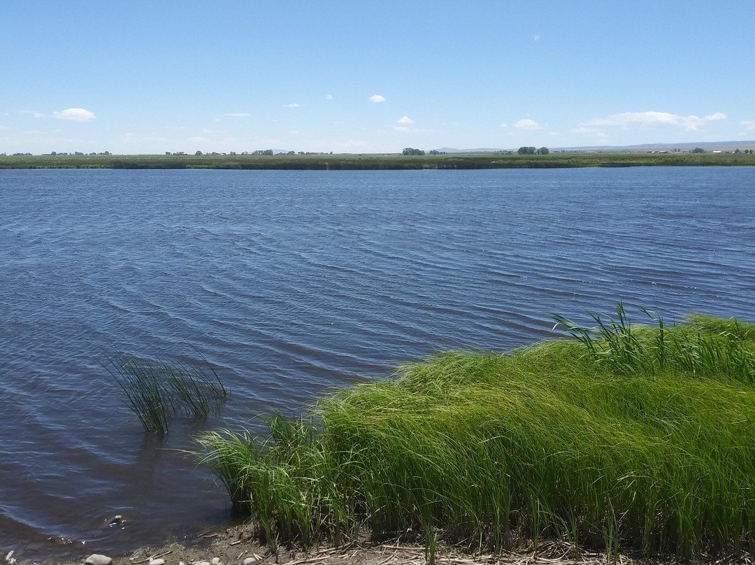 Monte Vista National Wildlife Refuge-Monte Vista必去景点