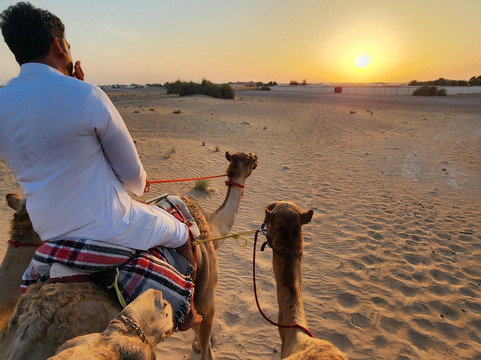 Arabian Desert Camel Riding Center-迪拜必去景点
