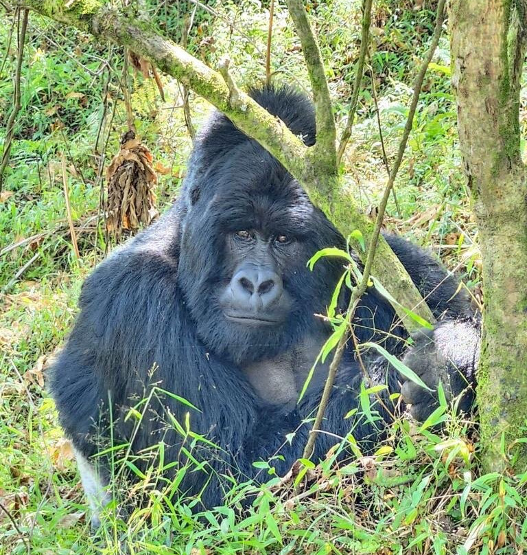 Travellers Rest Hotel主图