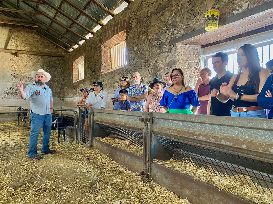Ex Hacienda El Zoquital-Atotonilco El Grande必去景点