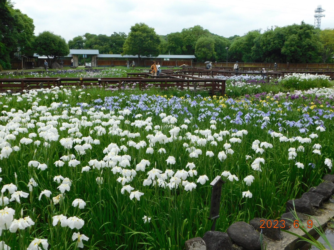Yamadaike Park-枚方市必去景点