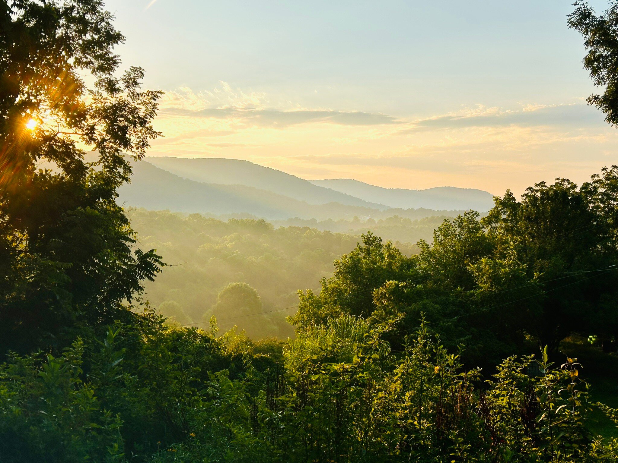 Blue Ridge Manor Bed and Breakfast-官方