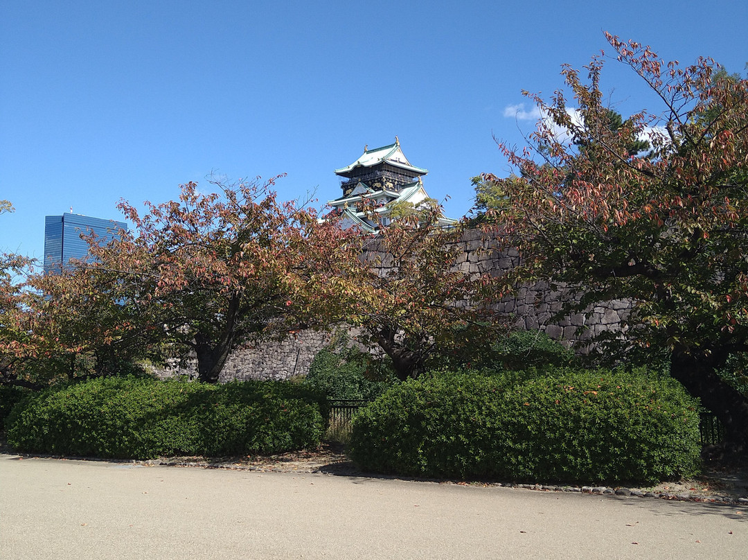 大阪城西之丸庭园景点图片