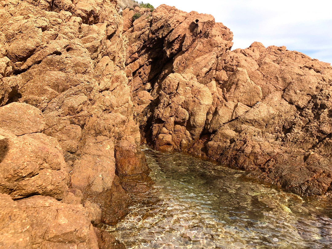 Calanque du Petit Caneiret景点图片