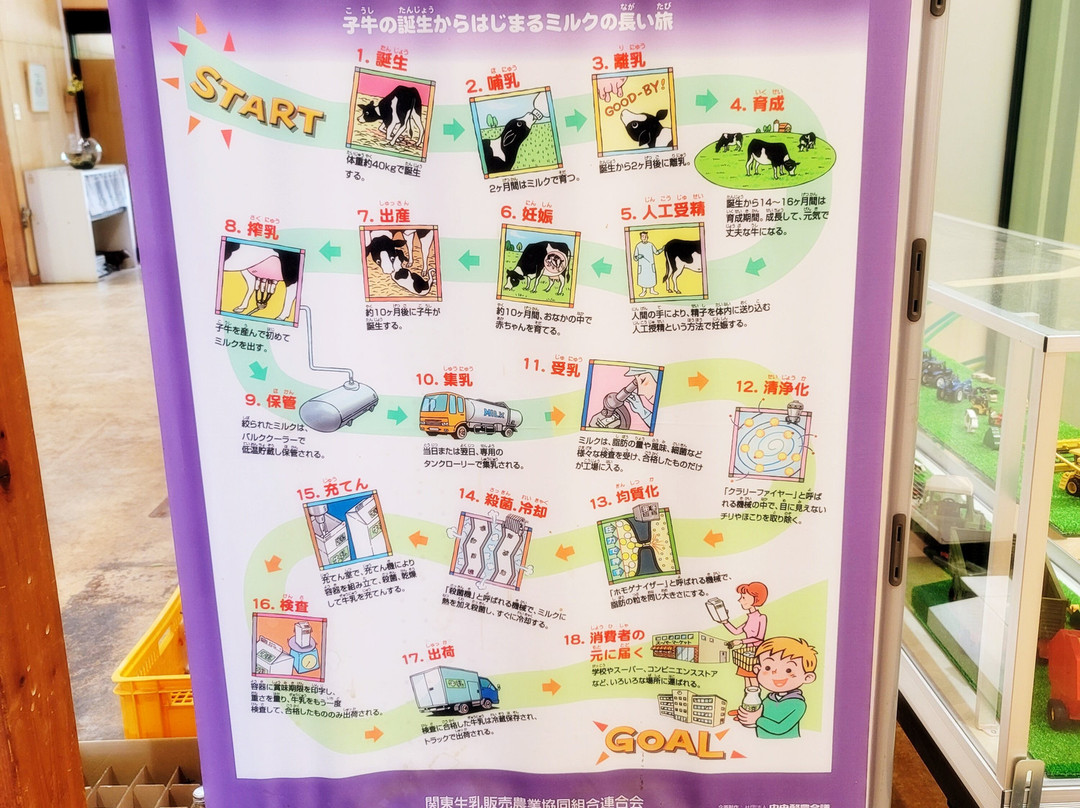 Chichibu Kogen Farm-东秩父村必去景点