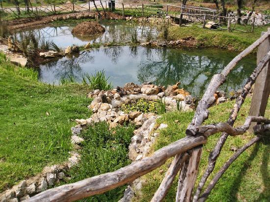 Reserva Ecologica y Jardín de Oquídeas Moxviquil景点图片