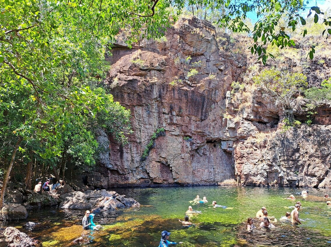 Litchfield Escapes-达尔文市必去景点