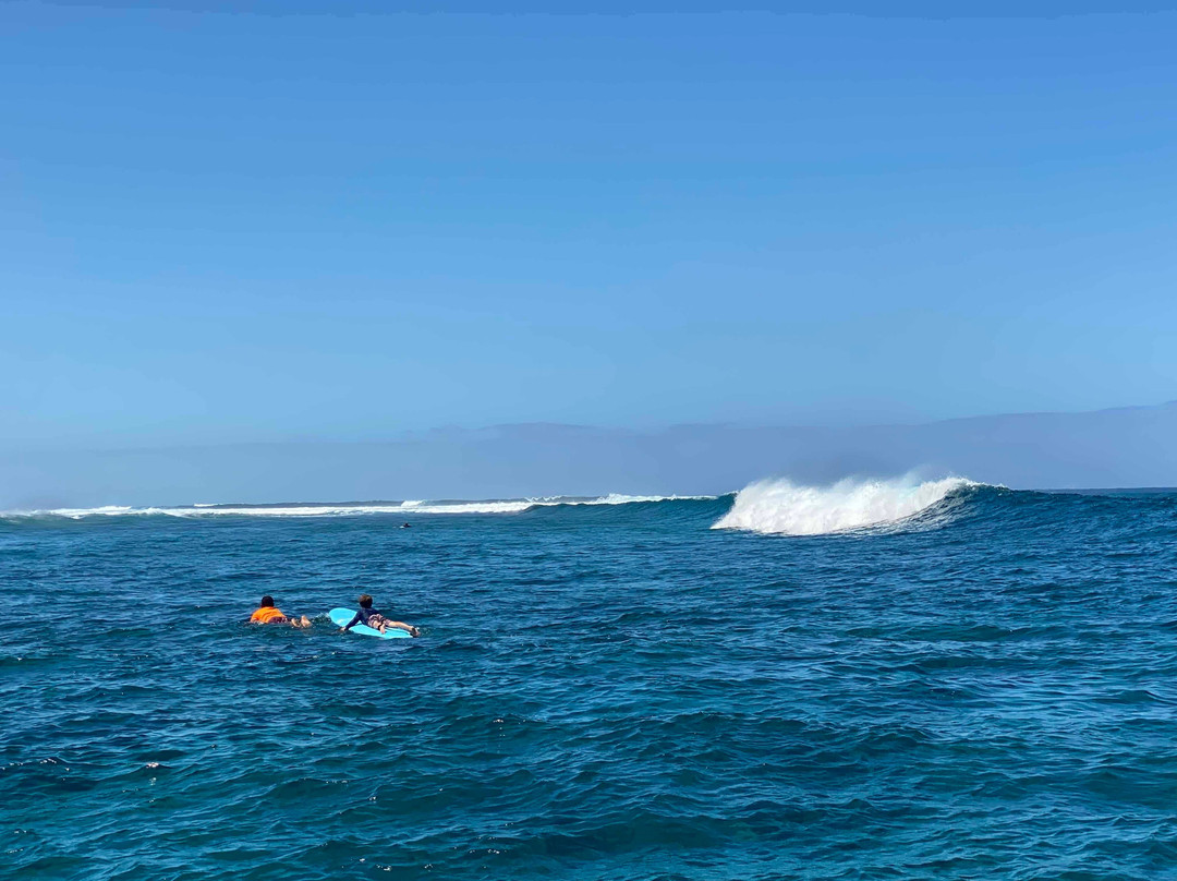 Fijian Surf Company景点图片