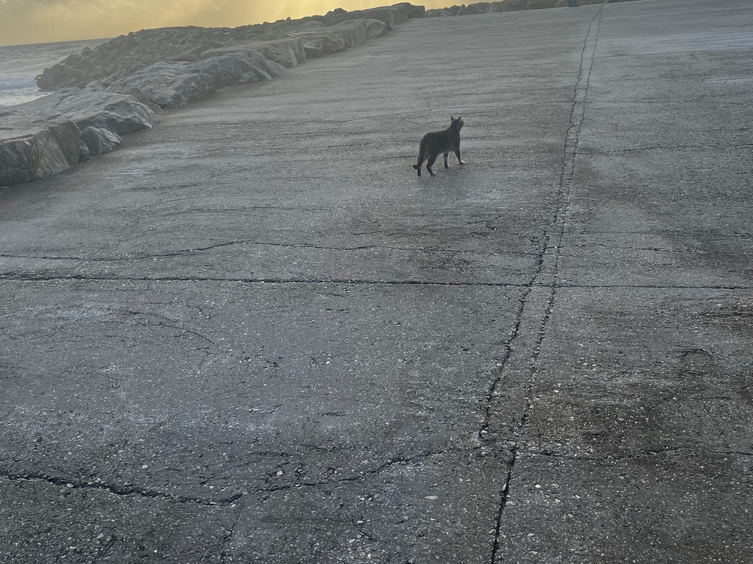 Hotel Apartamento Solverde主图