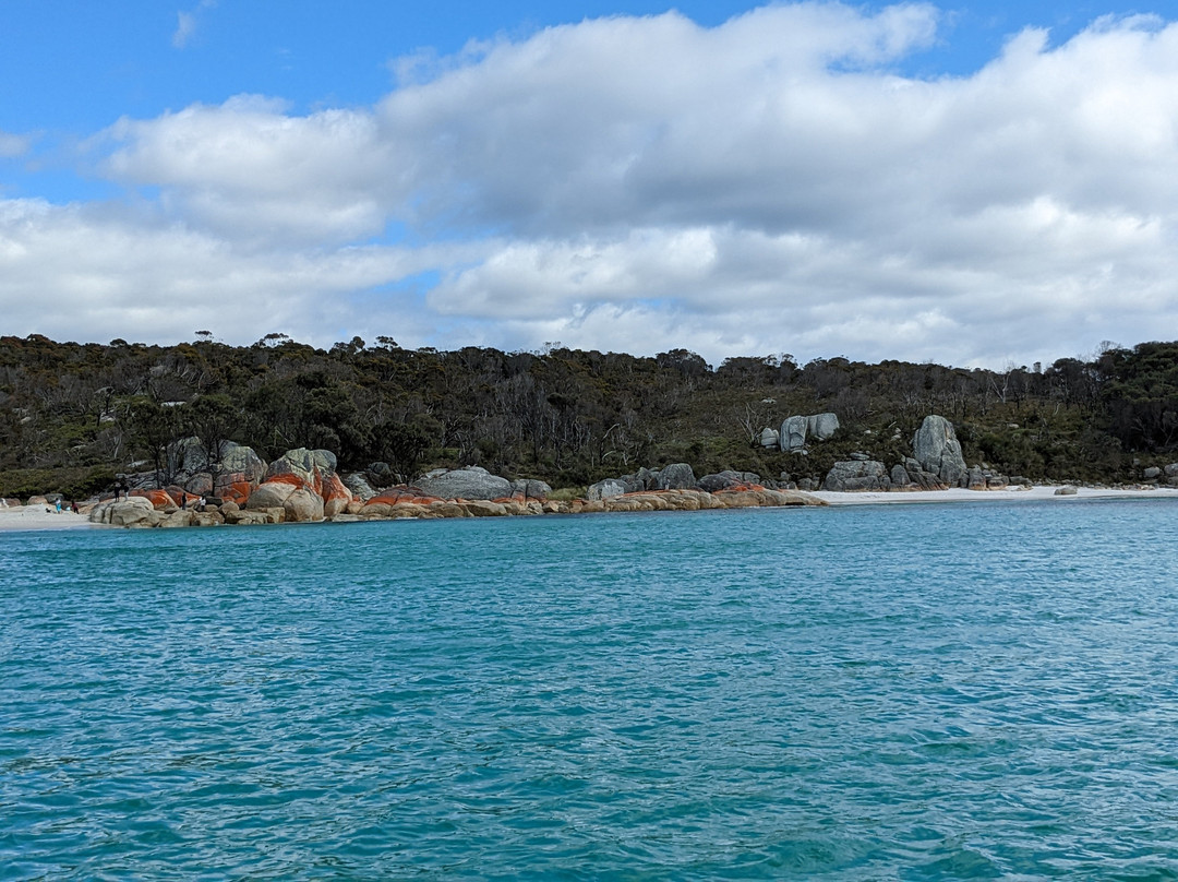 Bay of Fires Eco Tours景点图片