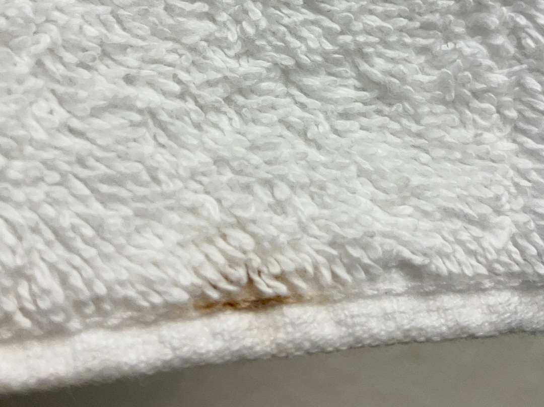 Hyatt Place Detroit/Livonia主图