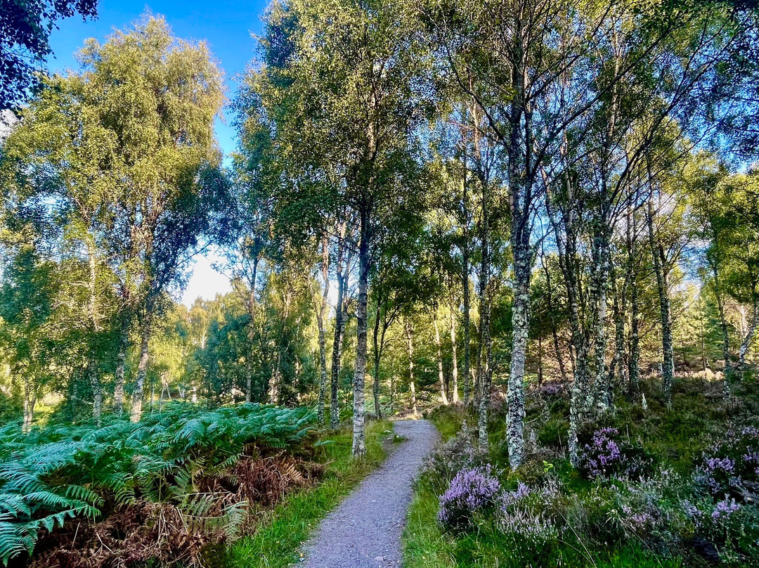 Muir of Dinnet National Nature Reserve-Dinnet必去景点