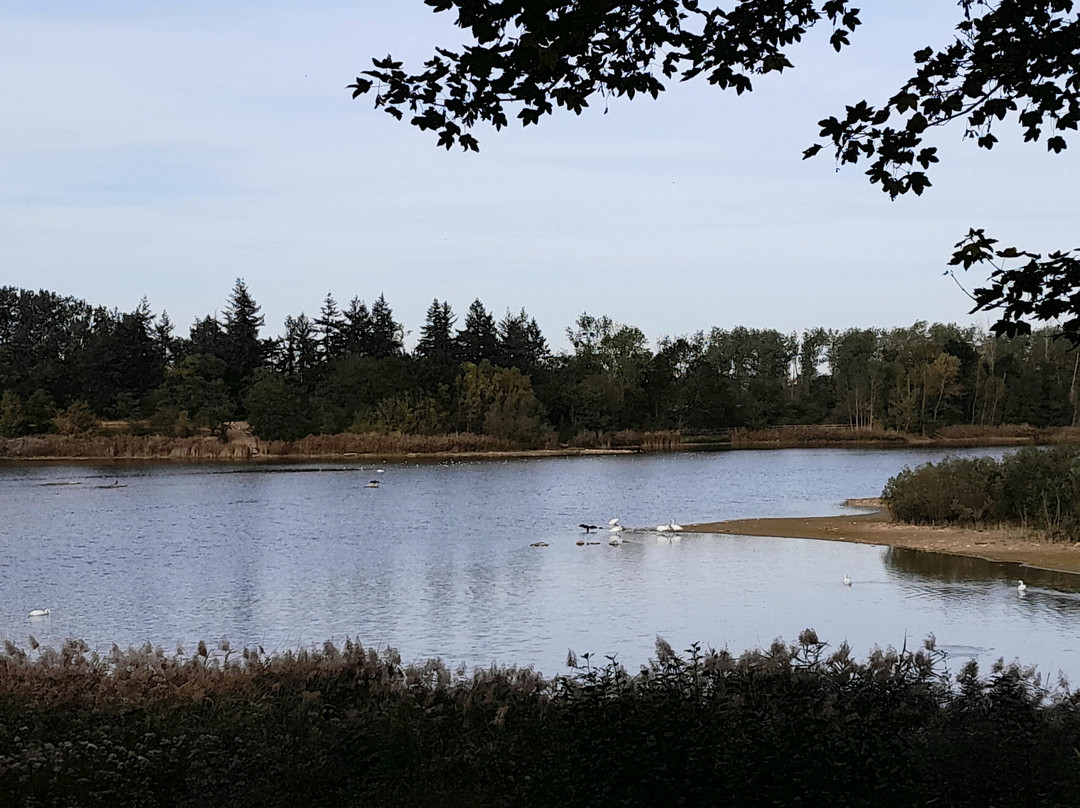 Etang Du Corra景点图片