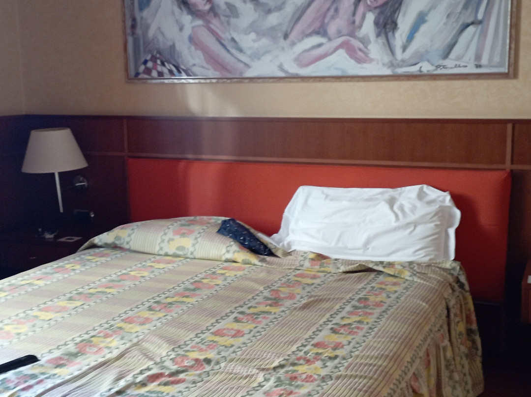 梦德诺皇宫酒店主图