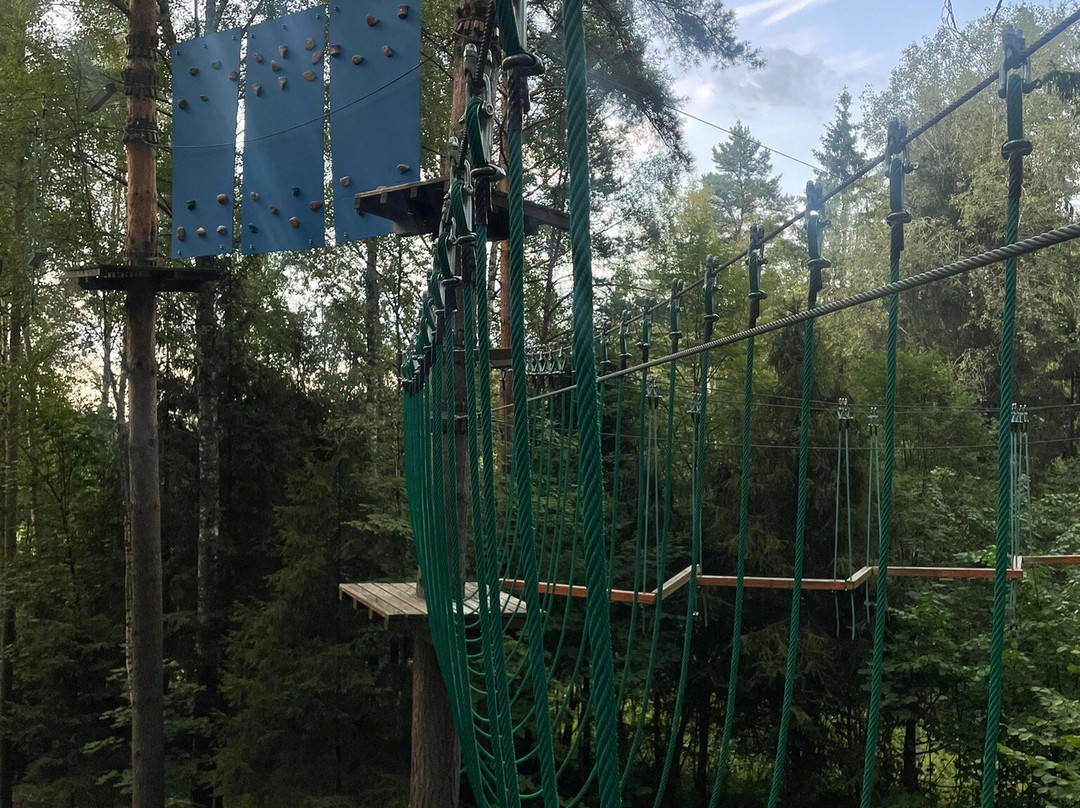 Park Grishkino主图
