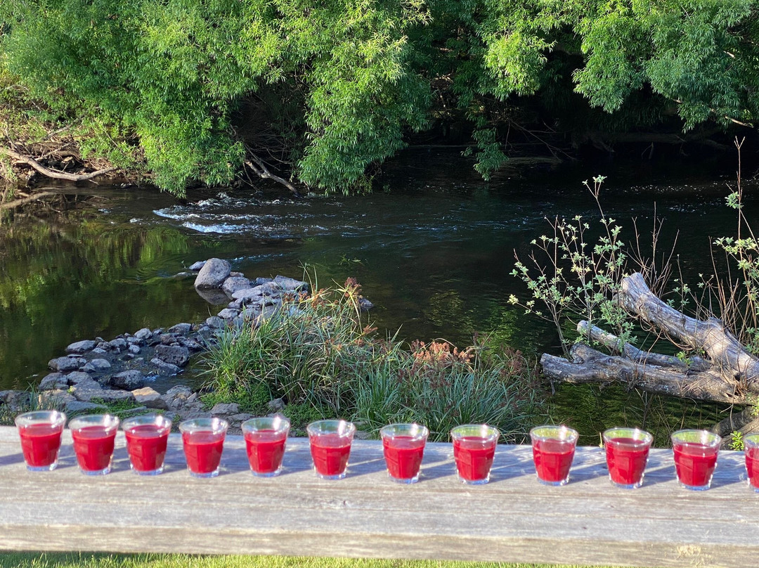 Women's MTB Retreats Tasmania-Derby必去景点