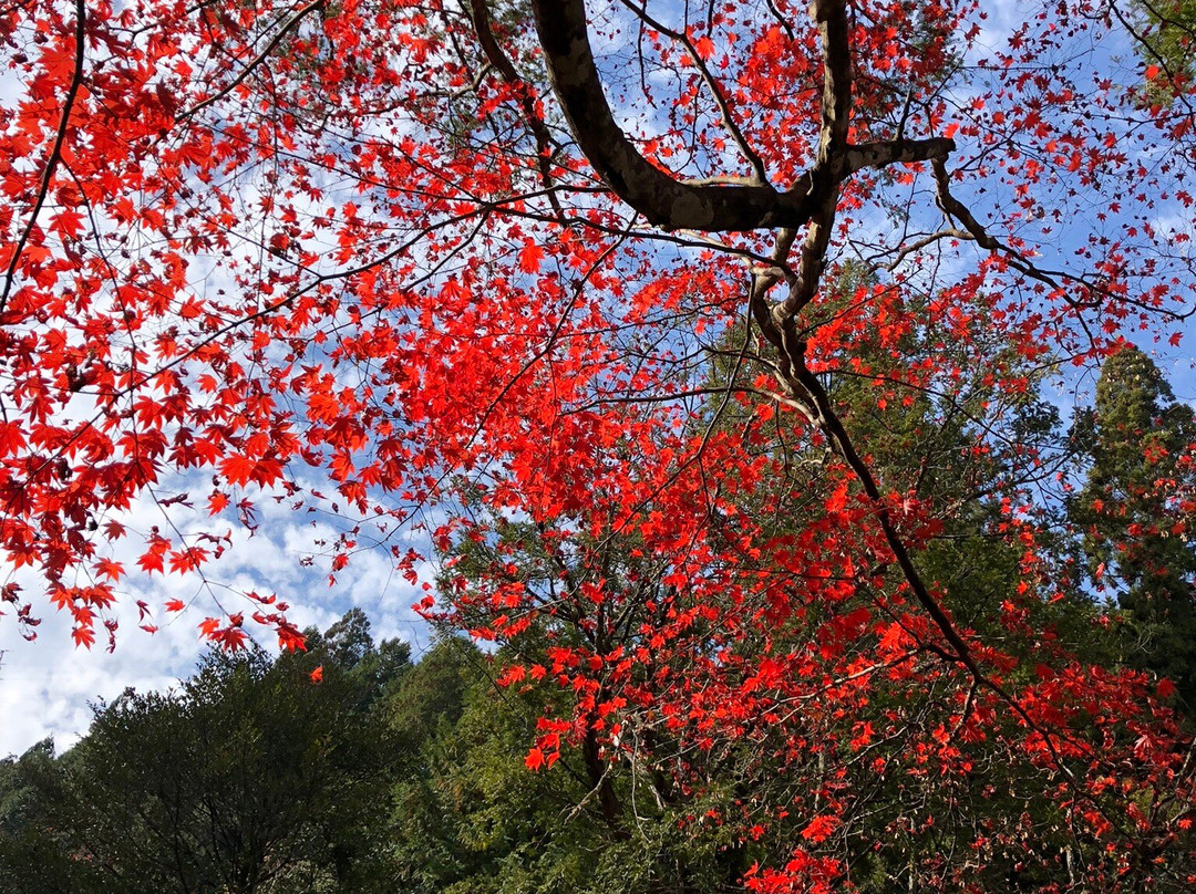 Gyokuryu-ji Temple-下吕市必去景点