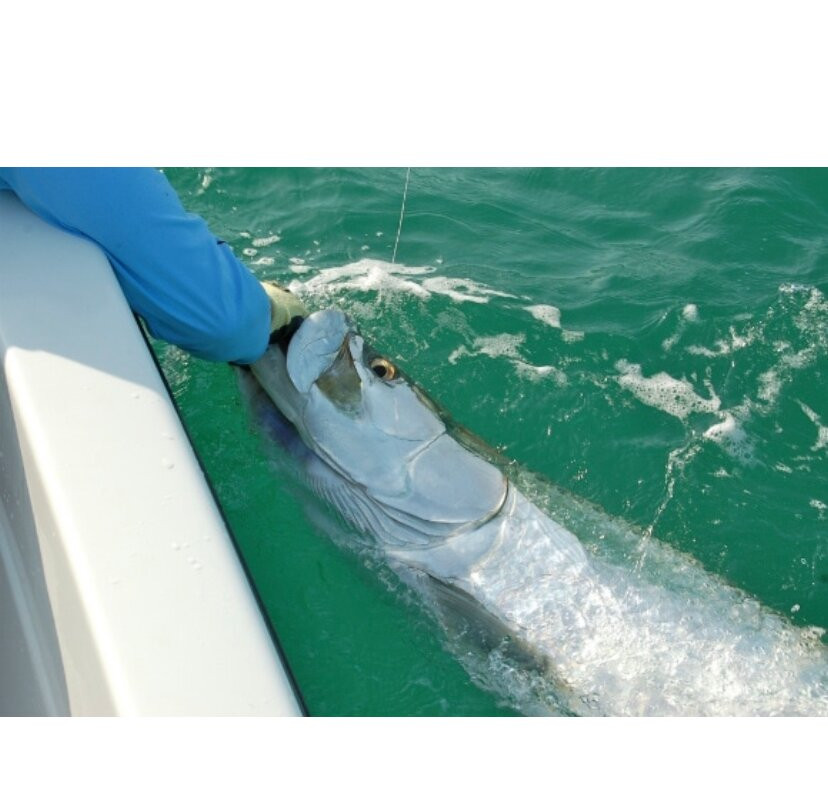 Reel Intense Inshore Charters-Boca Grande必去景点