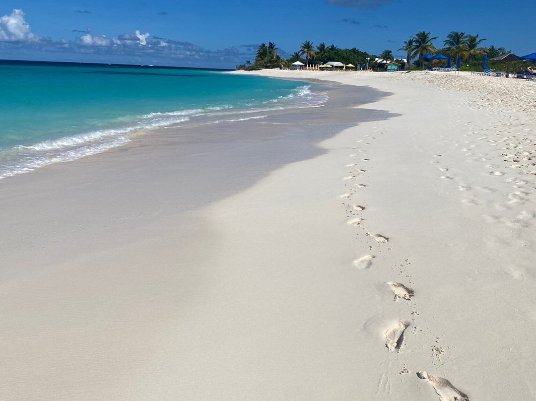 Billy Bones Boatcharters-辛普森湾必去景点