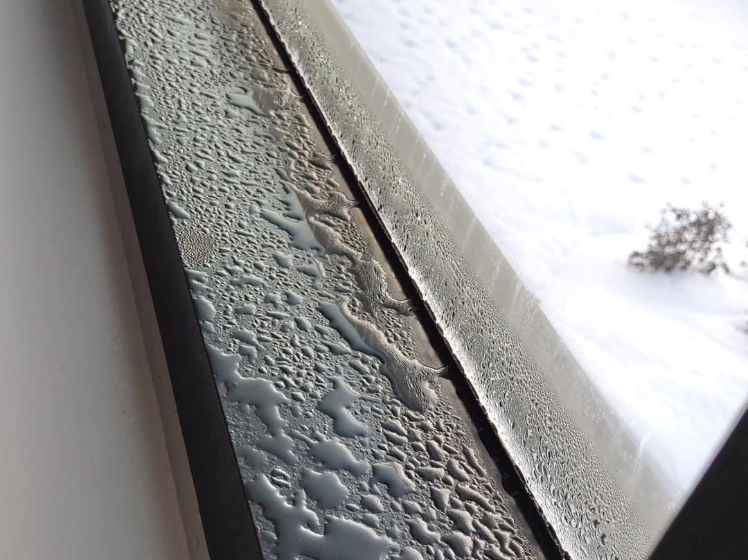 Hotel Forestel主图