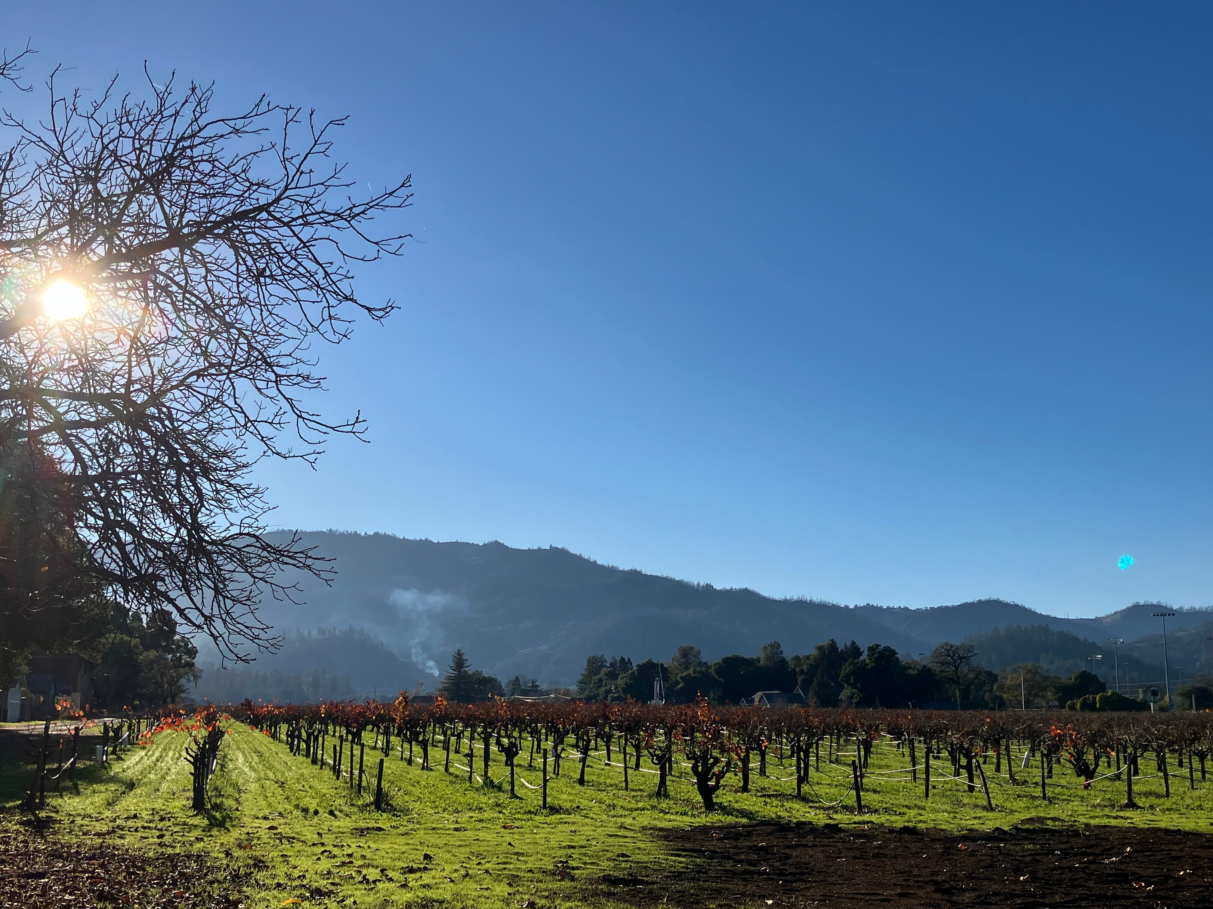Vineyard Country Inn-浴室