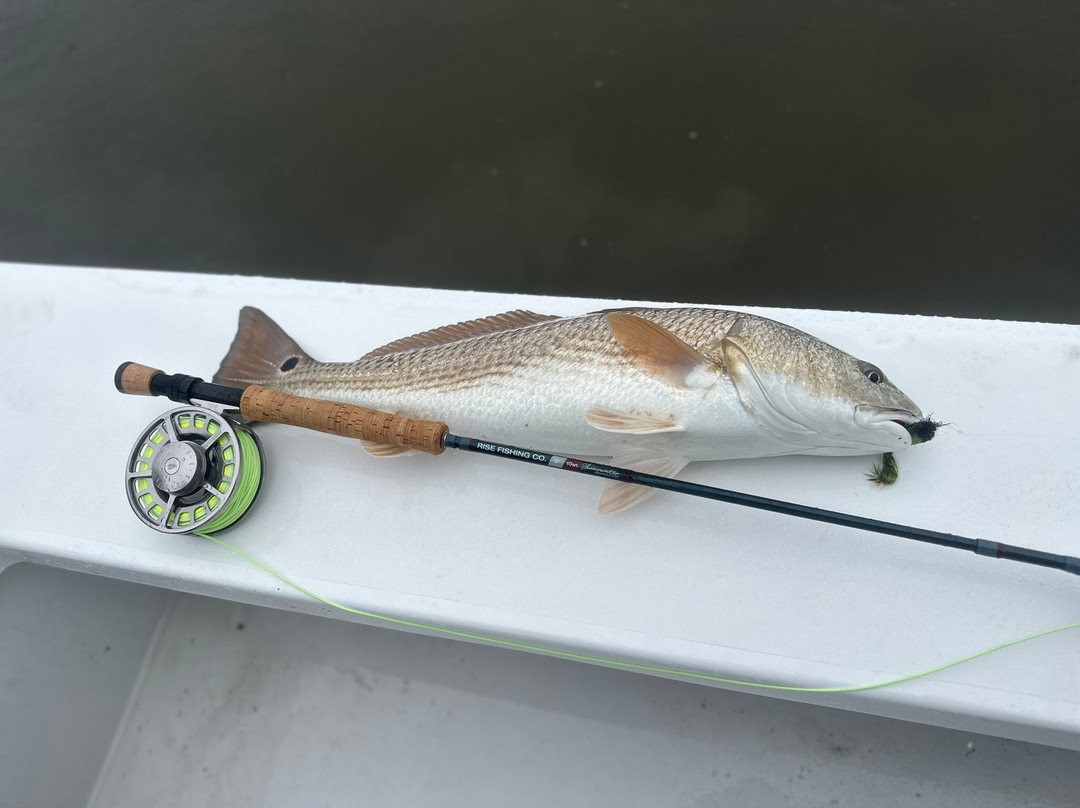 Woodland Plantation - A Country Inn主图