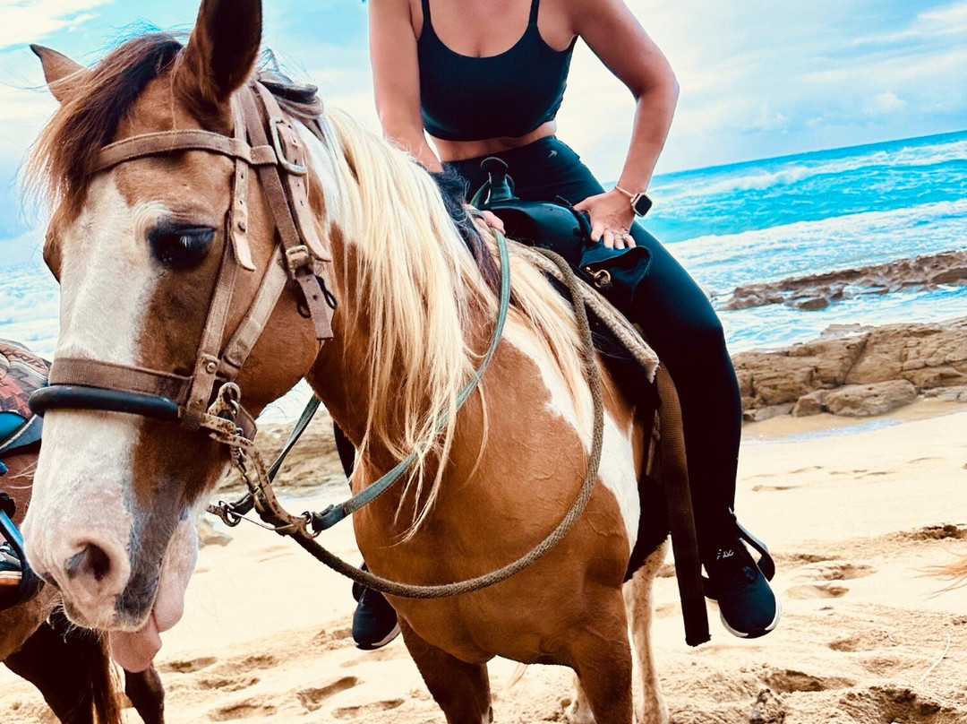 Tropical Trail Rides - Isabela-Isabela必去景点