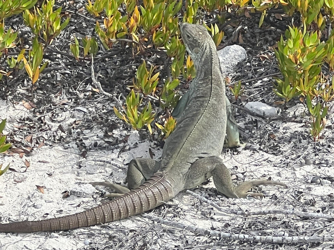 Half Moon Bay-普罗维登西亚莱斯必去景点