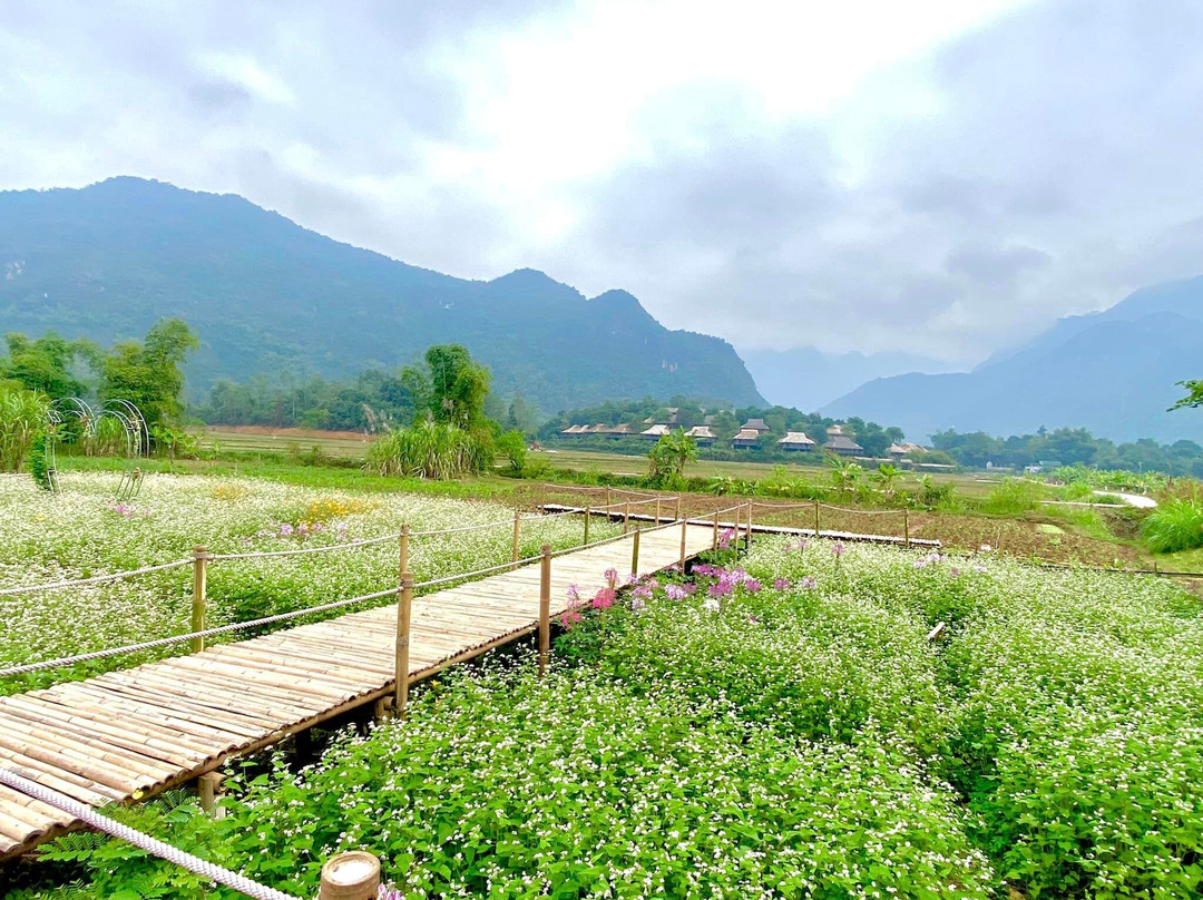 Thung Khe Pass-Mai Chau必去景点
