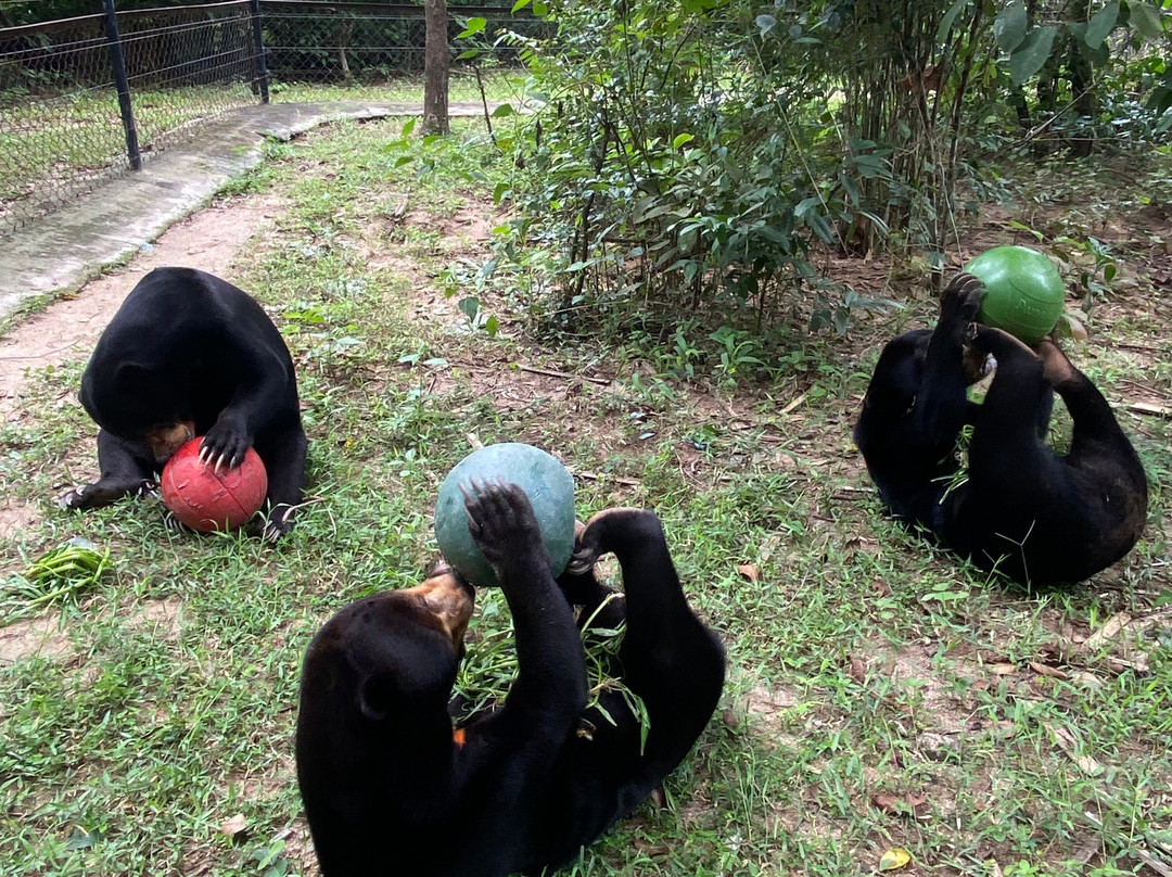 Eagle Cambodia Travel-暹粒必去景点