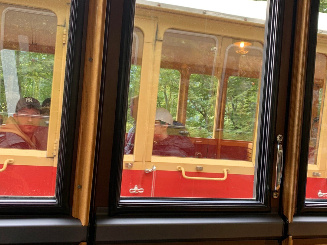 Wilderswil Railway Station-维尔德斯维尔必去景点