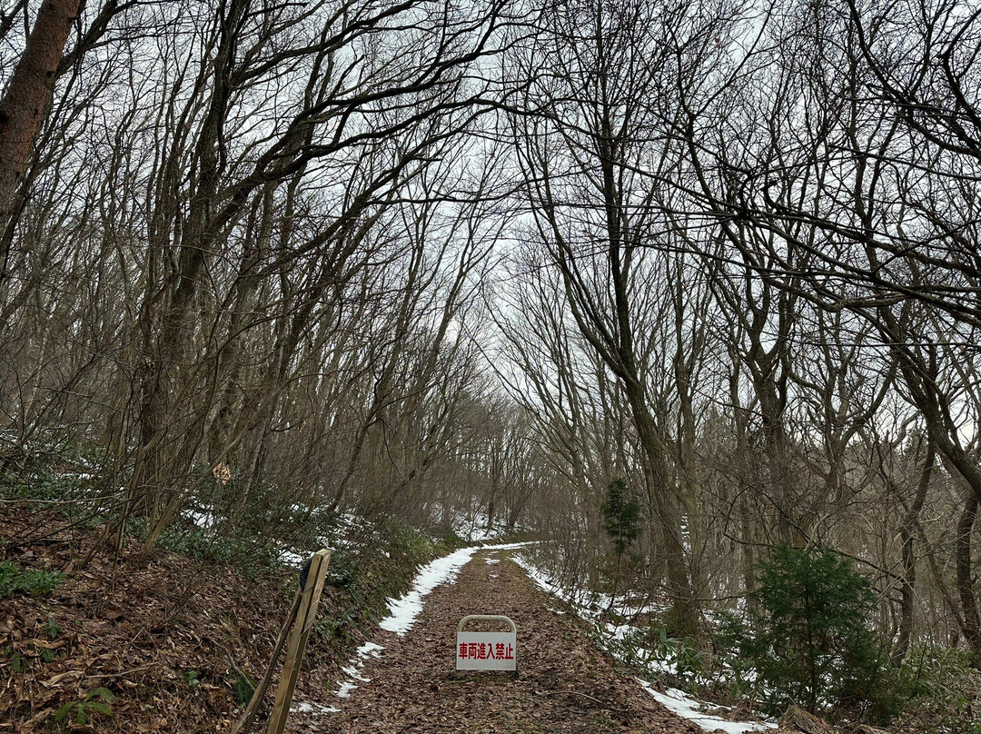 Asamushi Onsen Forest Park-青森市必去景点