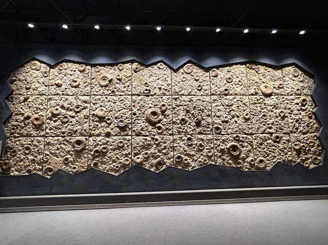 Kanagawa Prefectural Museum of Natural History景点图片