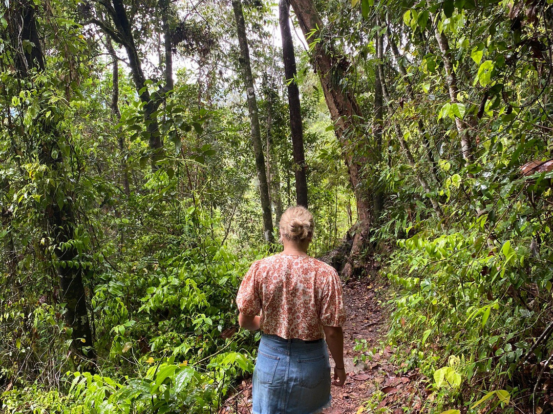 Wallaman Falls-Ingham必去景点