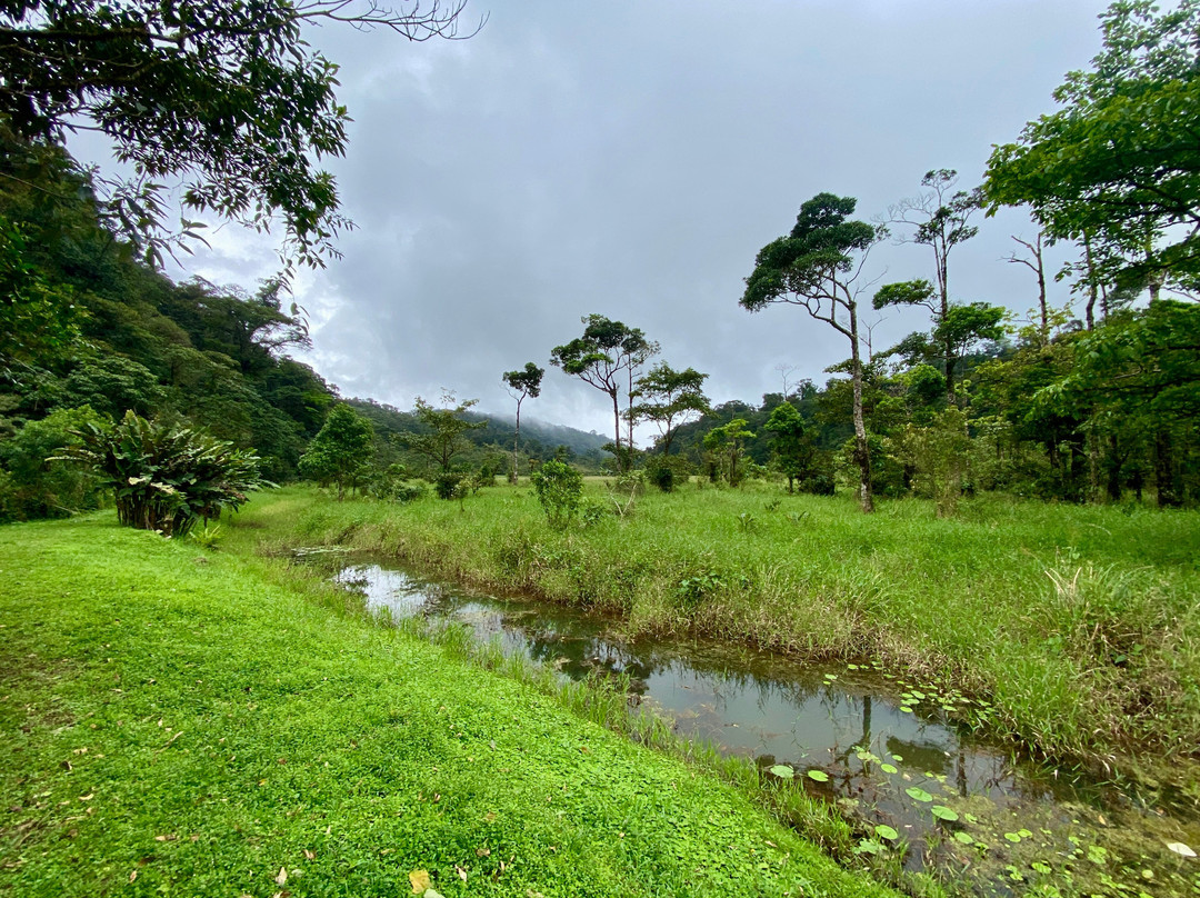 Costa Rica E Tours景点图片